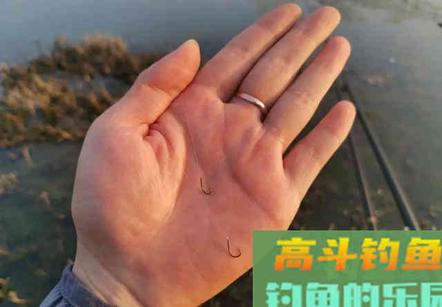钓鲫鱼却总遇到鲤鱼？春季野钓这样搭配线组，才能大小兼收