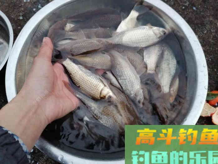 早春鱼难钓的原因，在钓位、钓具、饵料上，对症下药