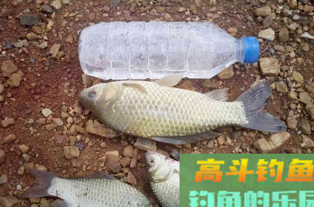 老司机再三强调，冬钓要用这套方法