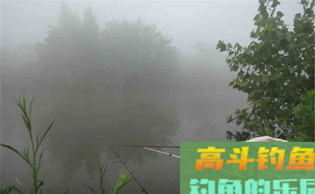 过了秋分别死守深水了，这个阶段大鱼靠边