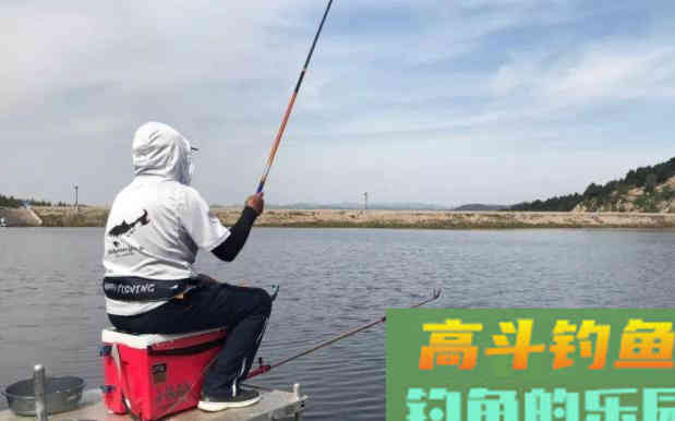 在夏季，发酵饵料为何更受鱼儿的喜欢