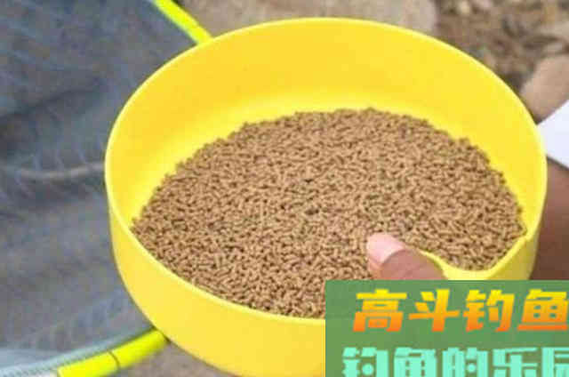 秋钓时，这样诱鱼才最霸气