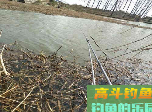 初春野钓停口问题出在哪？解析初春野钓三大技巧