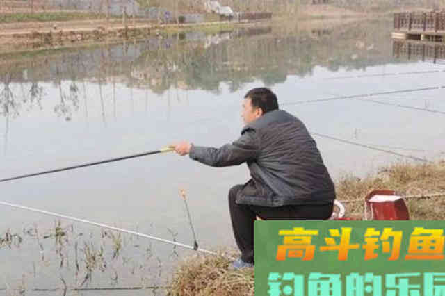 冬钓诱鱼慢到怀疑人生？二十年老钓手倾囊相助