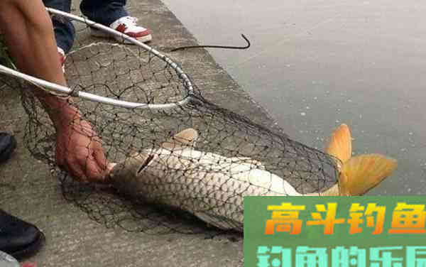 盛夏钓鱼，想要渔获，唯有做到见鱼思迁