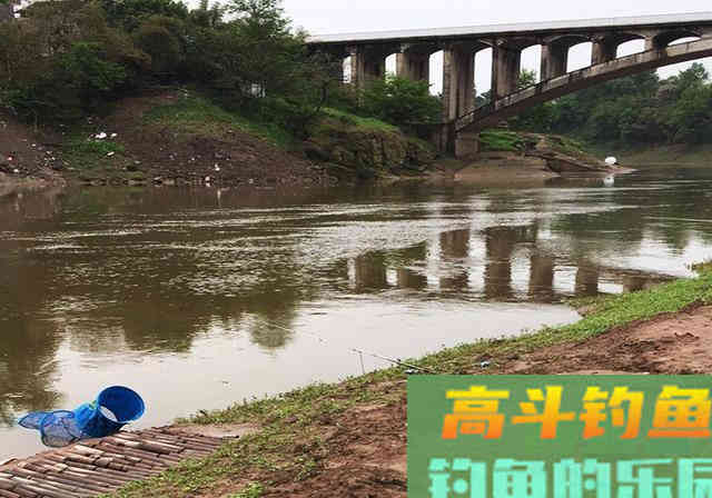 清明前后钓鱼，要想渔获多多，就不能按套路出牌