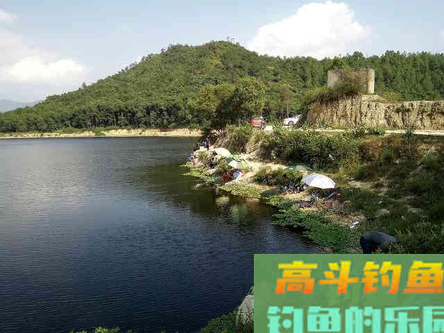 春天钓鱼的5个“秘密”，助你连竿不断
