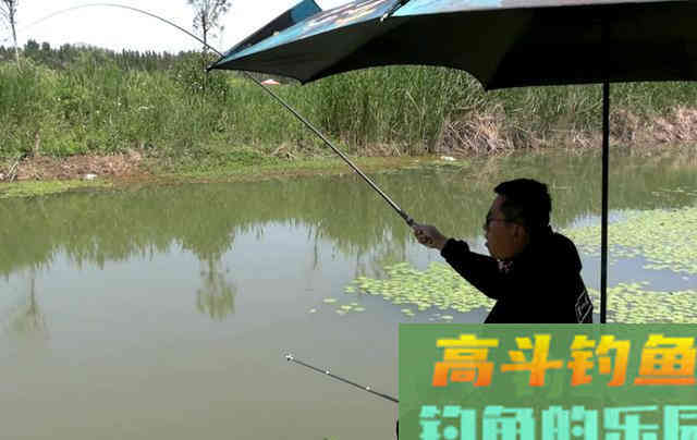 秋天过半，随着温度下降这九种鱼要钓不到了