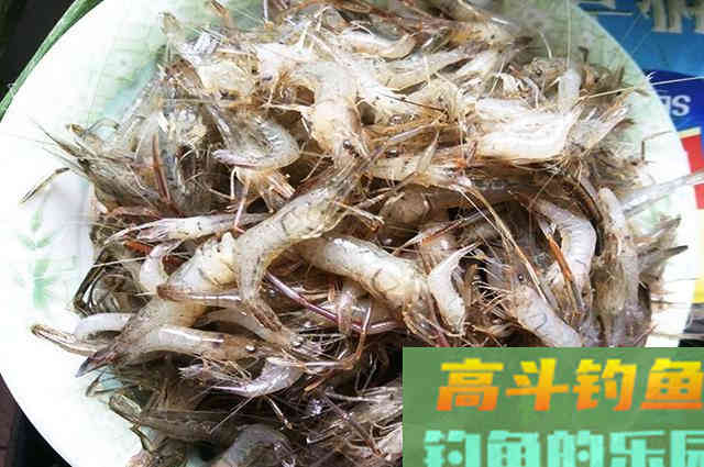 低成本自制冬季钓鱼饵料，自己动手不用花钱买了