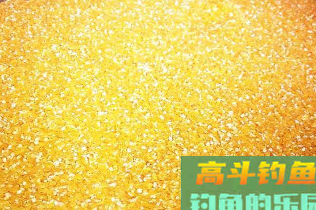 用自制窝料和饵料，半天钓了18斤鱼