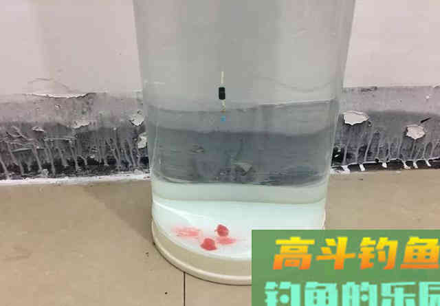 钓鱼最不该做的三件事，老钓手的经验之