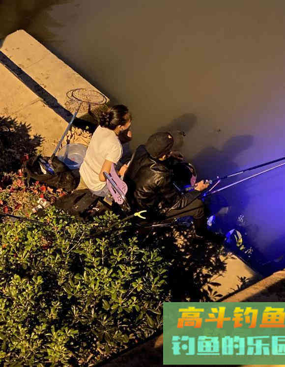 鱼类的应激反应，钓鱼时会导致惊窝元凶，完全可以避免