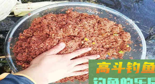 同样都是钓鱼，为何别人比你钓得多，秘密在这里