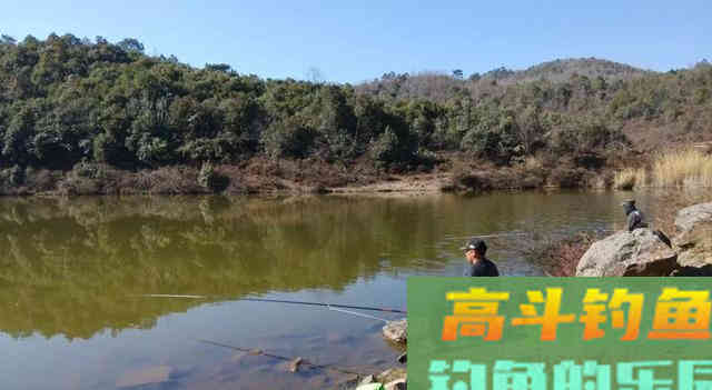 吃透这几句话，野钓时的渔获至少能多上三五条