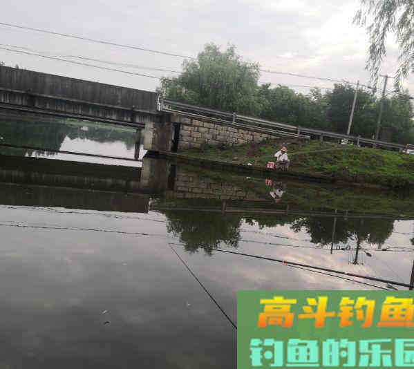 鱼钩小和空杆率关系不大？老钓友用实际经历打脸