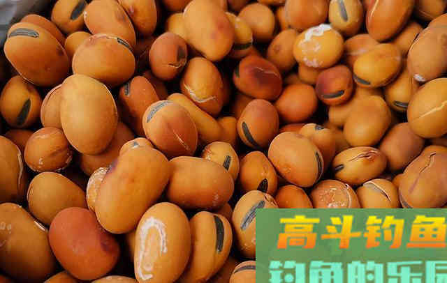 想把旁边钓友打闭口，推荐试试这款自制饵