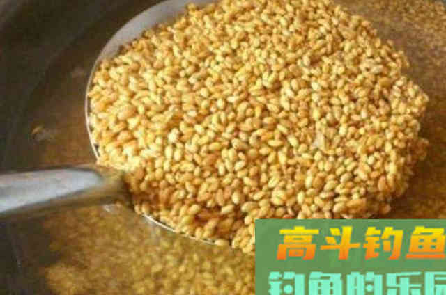 这5种饵省钱又省事，用来“对付”鲫鲤鱼