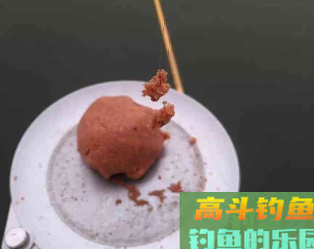 冬天钓鱼用这几种小药物美价廉
