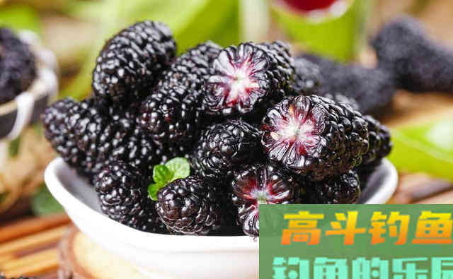 不花钱的5种钓草鱼饵料，随处可取