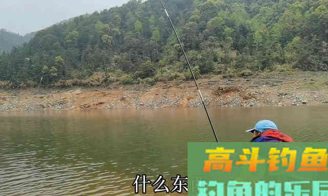 钓鱼线组不重要？老钓鱼人实际垂钓告诉你