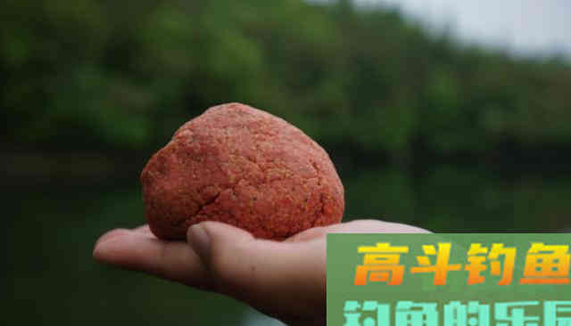 不同的鱼喜欢不同的饵料状态
