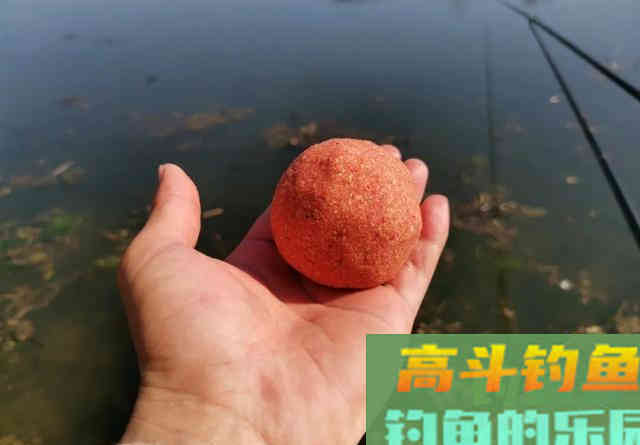 网红饵料全能腥（香）真的好用吗