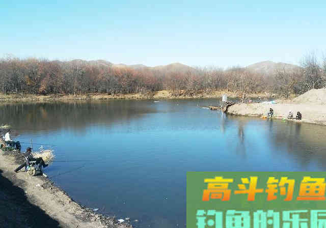 同样的鱼塘，同样的饵料，同样的钓法，为何渔获不同