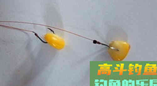 钓大水面，还得是自制的老坛玉米，大鲤大草不停口