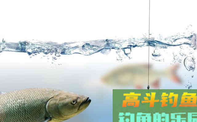 子线的长度将会决定你渔获的多寡