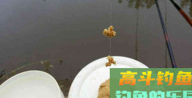 天冷前，懂钓鱼的人都在悄悄做这4件事