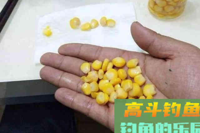 我就喜欢用这鲤鱼特效饵，千真万确，商品小药都没法比