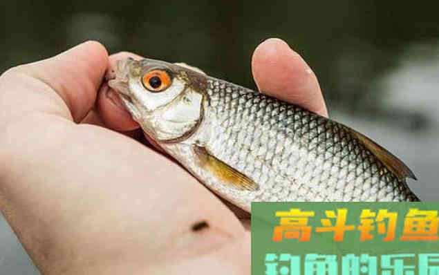 为什么会有各种各样的漂相？一篇文章说明白