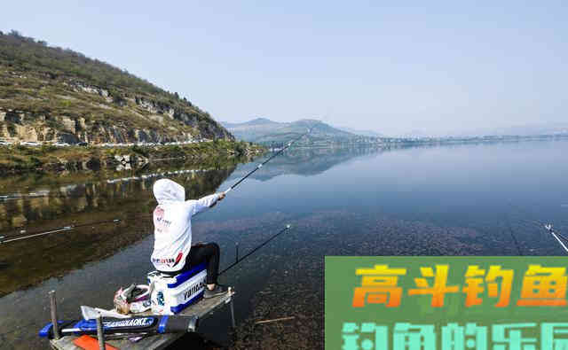 玉米钓草鱼已过时！换钓饵后，草鱼像是排着队吃饵