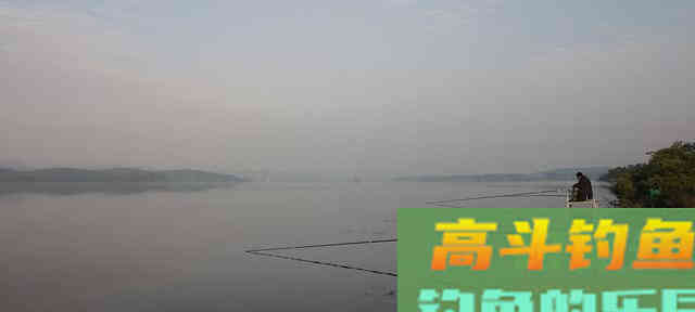 各种钓技满天飞！在钓鱼佬面前，鱼儿没有一点隐私吗