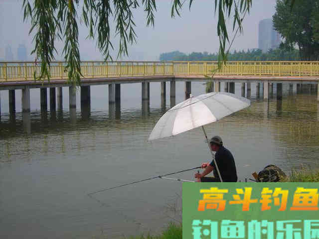鱼口越来越慢，试试这几招