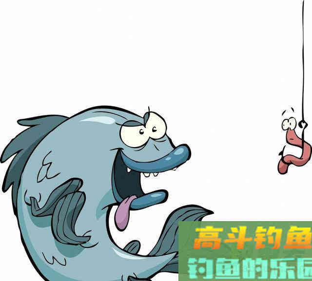 连中鱼率都不敌此类自制鱼饵