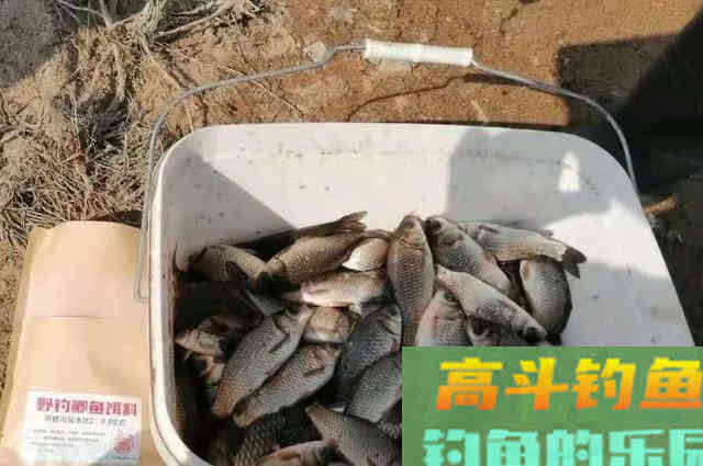 别嫌水流大就不好打窝，自从学会这几招，诱鱼又快又狠