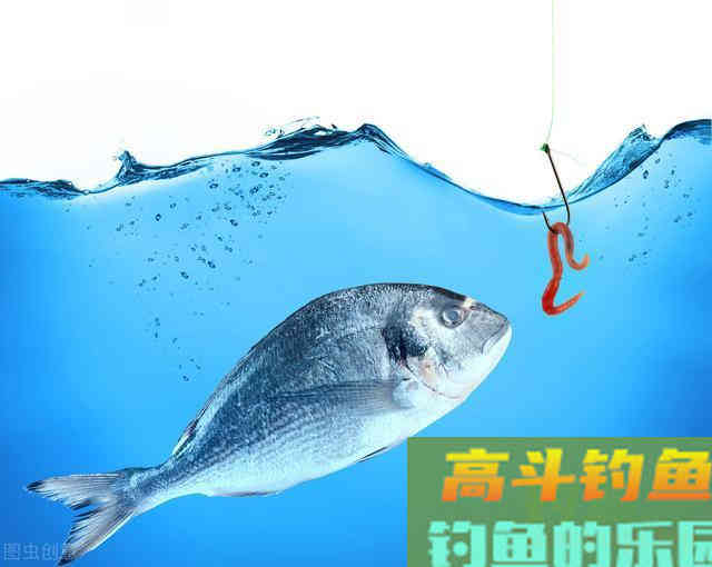 蚯蚓挂法还能影响中鱼率？别不信，蚯蚓挂的好确实中鱼率高