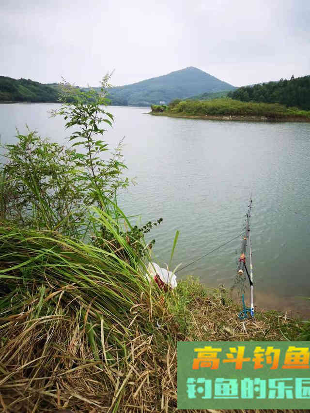 野钓走水环境的应对攻略，利诱鱼可抓口成老手