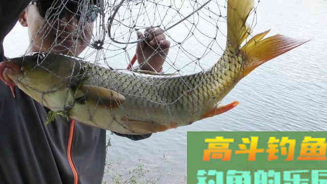 浅谈双钩的饵料搭配，科学搭配可提高钓鱼效率