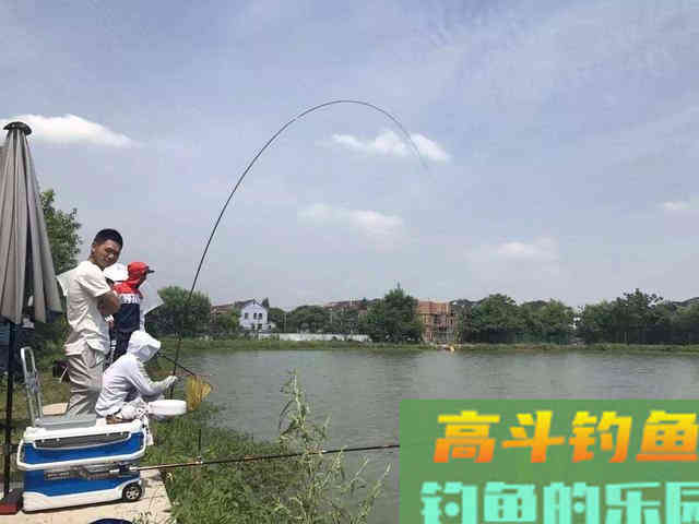 下竿前后打窝有什么区别？区别很大，可能错过大鱼