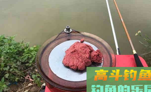 饵料附钩性太差，入水之后很快就会脱落怎么办