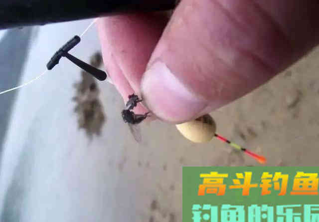 盘点6种重口味饵料，看起来恶心但鱼儿却十分喜爱