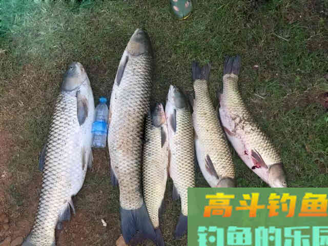 双钩的距离放多少才合适，还是要看这三个原则