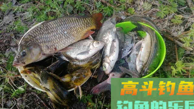 这十二种分析，看懂弄明白，超准抓口