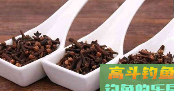 渔具店的小药太坑人，不如从这几种东西中选一种