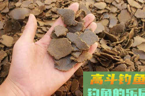 菜籽饼打窝没鱼口？加上这些，钓鲫、钓鲤都可以