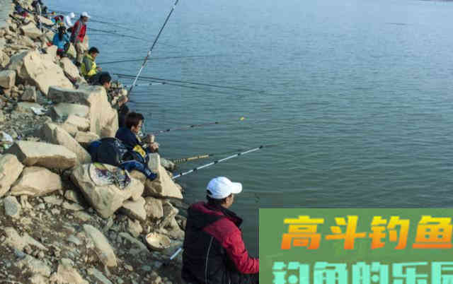 浮漂有动作后，要在什么时间提竿呢