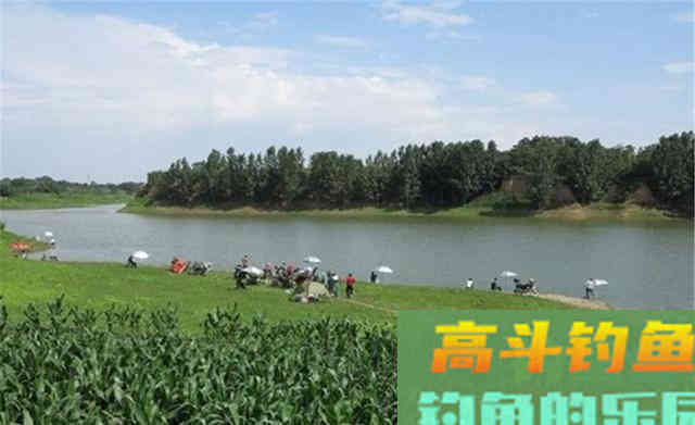 你为何经常钓不到鱼？不用纠结太多原因，无非是天时地利而已