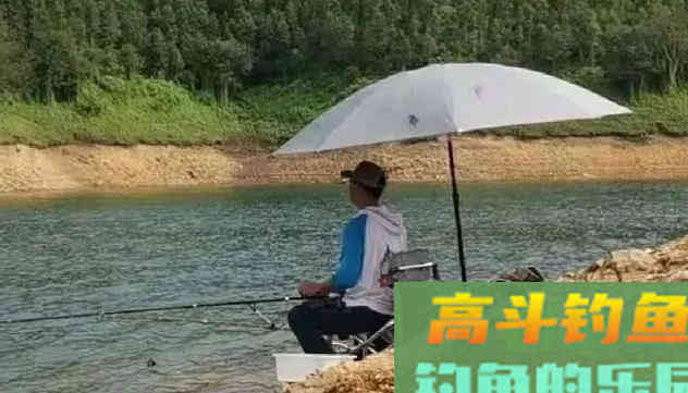 浮漂下顿一目就不动了，提竿却没鱼